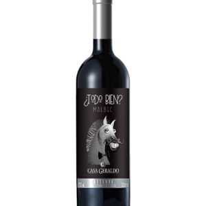 Vinho Tinto Seco Malbec Reserva Todo Bien? 750ml - Casa Geraldo