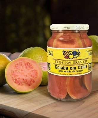 goiaba-em-calda-zero-acucar-david-520-4